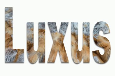 Lüks Kızıl tilki kürk bir fontta eğitimli