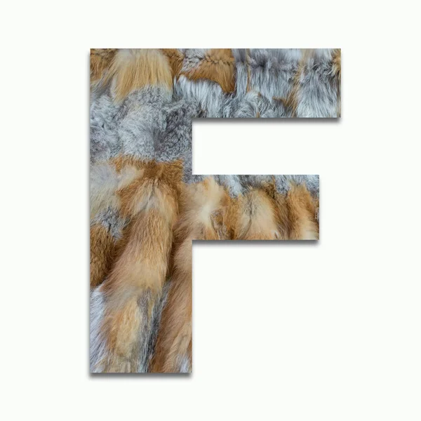 F red fox fur in a font trained — Stock Photo, Image