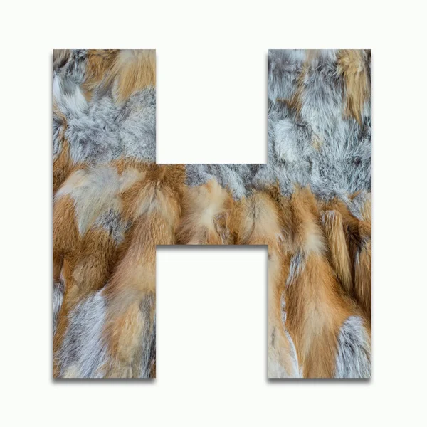 H red fox fur in a font trained — Stock Photo, Image