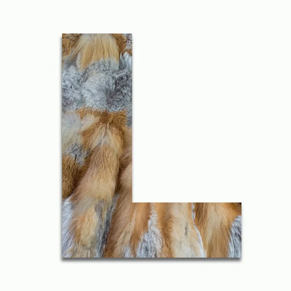 L red fox fur in a font trained — Stock Photo, Image