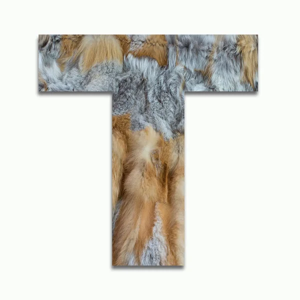 T red fox fur in a font trained — Stock Photo, Image