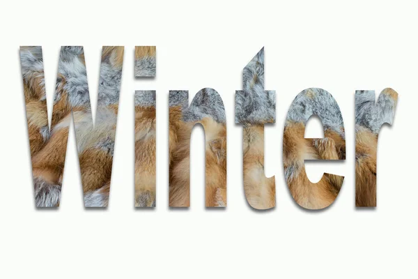 Winter red fox fur in a font trained — Stock Photo, Image