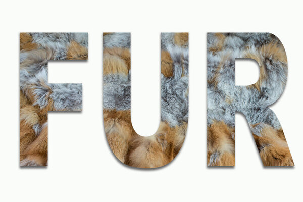 FUR red fox fur in a font trained
