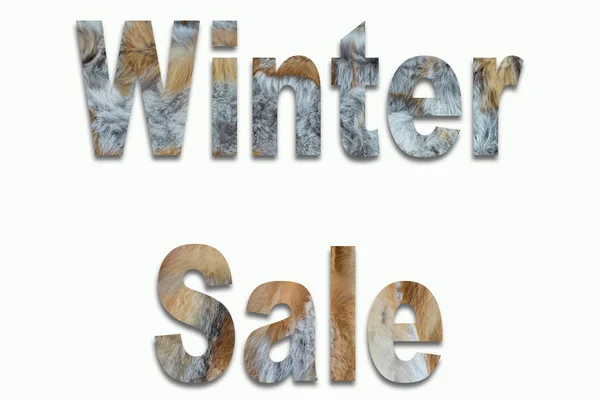Зимовий розпродаж червоного хутра лисиці в шрифті, навченому — стокове фото