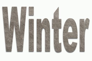 Kış Angora yün bir fontta eğitimli 