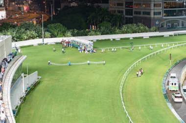 Happy Valley Racecourse Hong Kong yarış atı