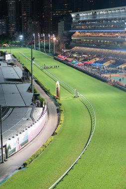 Happy Valley Racecourse Hong Kong yarış atı