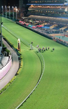 Happy Valley Racecourse Hong Kong yarış atı