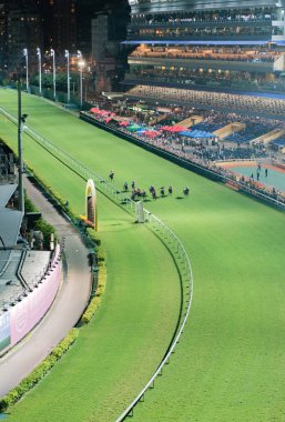 Happy Valley Racecourse Hong Kong yarış atı