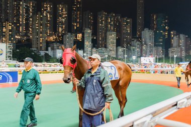 Happy Valley Racecourse Hong Kong yarış atı