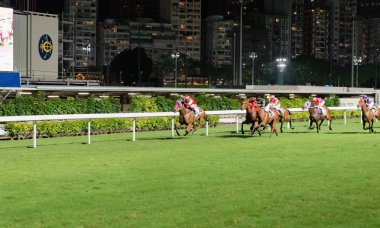 Happy Valley Racecourse Hong Kong yarış atı