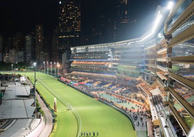 Happy Valley Racecourse Hong Kong yarış atı