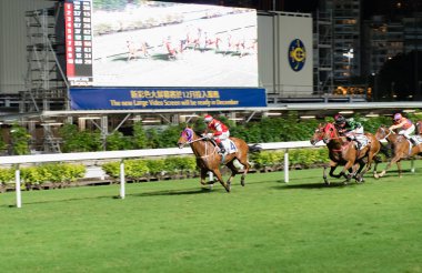 Happy Valley Racecourse Hong Kong yarış atı