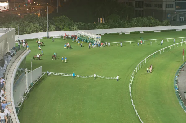Happy Valley Racecourse Hong Kong yarış atı