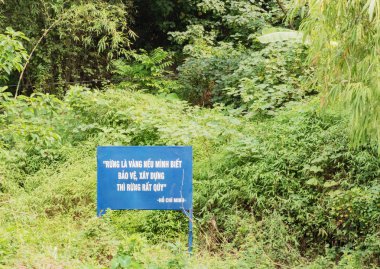 Kızılırmak Kuzey Vietnam yağmurlu sezonu, Hanoi