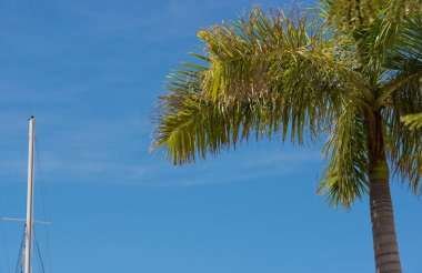 Varadero, Küba'nın limanında katamaran mast