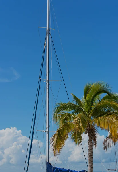 Mastro catamarã no porto de Varadero, Cuba — Fotografia de Stock