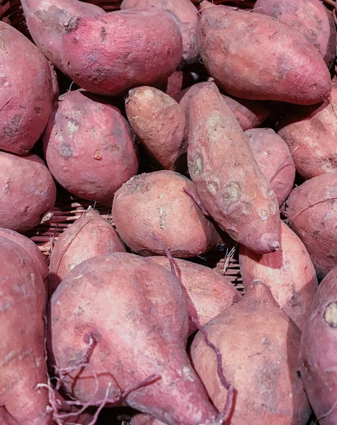 Batata-doce em um mercado de frutas e vegetais — Fotografia de Stock