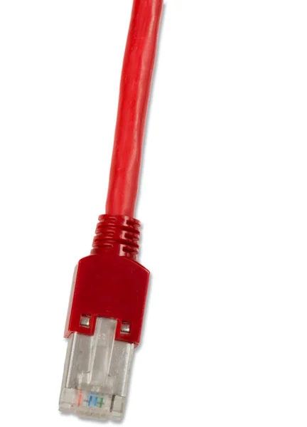 Cable de red Cat6 RJ45 —  Fotos de Stock