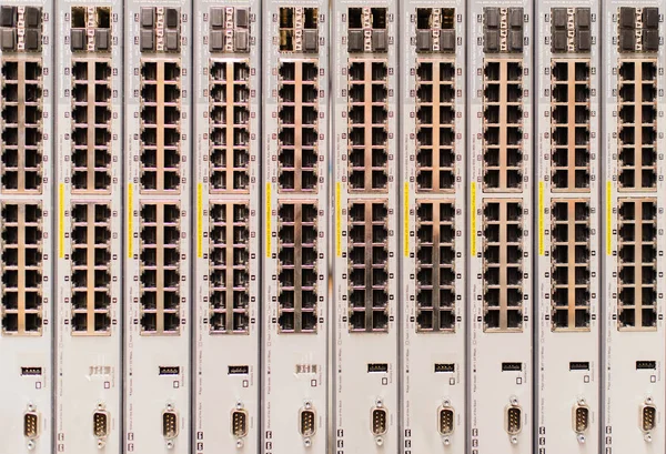 Ağ kablo Rj45 ağ anahtarı bağlantılarında — Stok fotoğraf