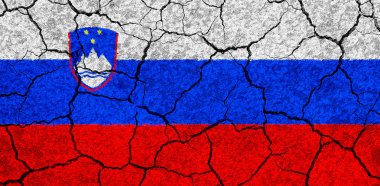 Düzenlenmiş beyaz bir taş duvar Slovenya bayrağı