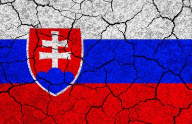 Düzenlenmiş beyaz bir taş duvar Slovakya bayrağı