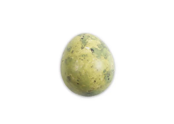 Quail egg from a quail isolated on white — Stock Photo, Image