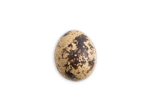 Křepelčí vejce z křepelky izolované na bílém — Stock fotografie