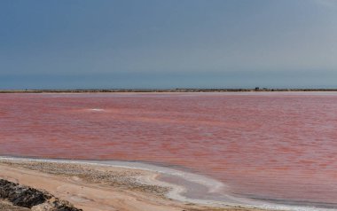 Pembe su tuz Walvis Bay, Namibya'da çalışır