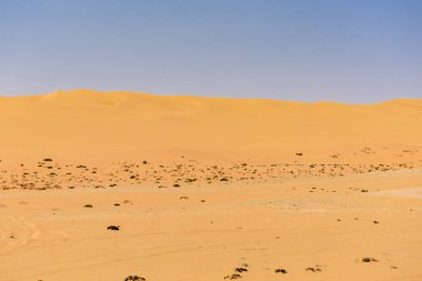 Kum Çölü Atlantik kıyısında Swakopmund Güney Afrika