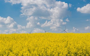 Mavi gökyüzü beyaz bulutlar ile sahasında tecavüz