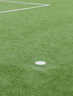 Suni çim ve beyaz çizgili futbol sahasındaki yakın çekim
