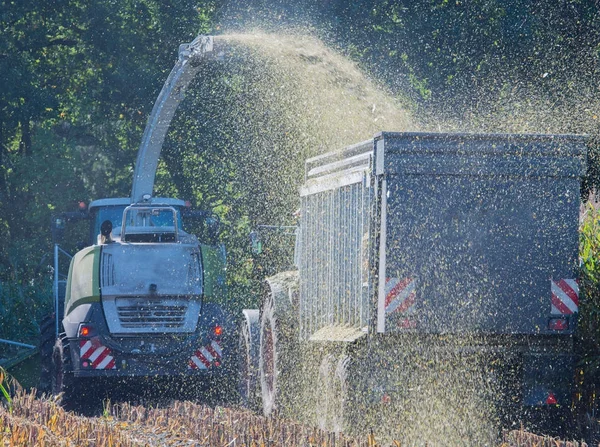 Cosechadora de maíz, cosechadora de maíz en acción, camión de cosecha con tractor — Foto de Stock
