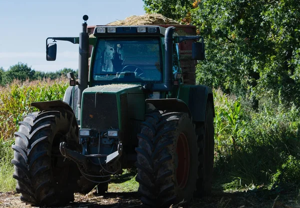 Corn harvest, corn forage harvester in action, harvest truck with tractor