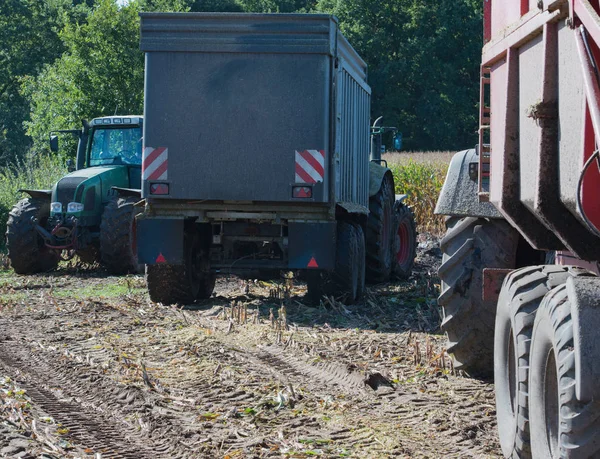 Corn harvest, corn forage harvester in action, harvest truck with tractor