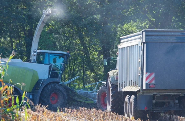 Kukorica betakarítás, kukoricaszedő akcióban, traktoros betakarító teherautó — Stock Fotó