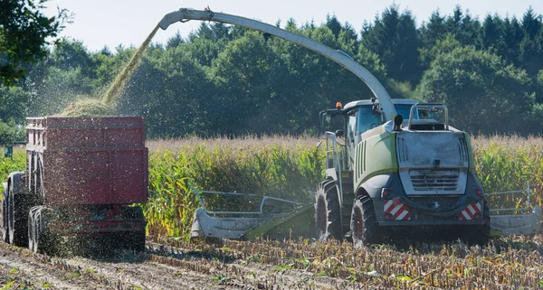 Żniwa kukurydzy, zbożowy żniwiarz w akcji, żniwiarka z ciągnikiem — Zdjęcie stockowe