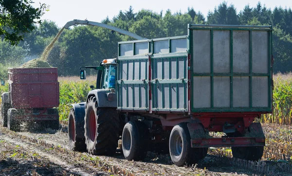 Cosechadora de maíz, cosechadora de maíz en acción, camión de cosecha con tractor — Foto de Stock