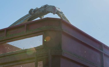 Mısır hasadı, mısır tarlası hasat aracı, traktörlü hasat kamyonu.