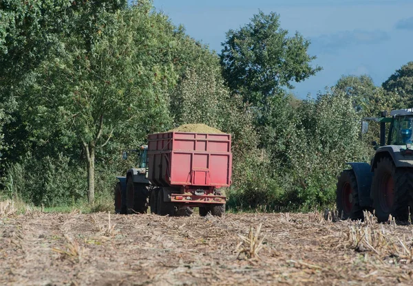 Cosechadora de maíz, cosechadora de maíz en acción, camión de cosecha con tractor — Foto de Stock