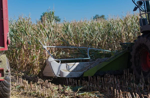 Cosechadora de maíz, cosechadora de maíz en acción, camión de cosecha con tractor — Foto de Stock