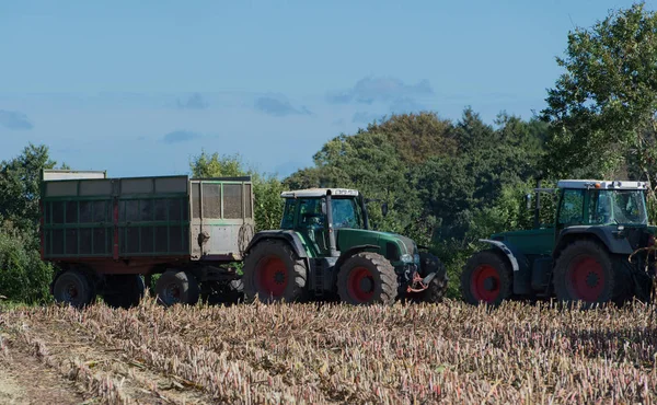 옥수수 수확, 옥수수 수확, 작업중인 수확, 트랙터를 실은 트럭 수확 — 스톡 사진