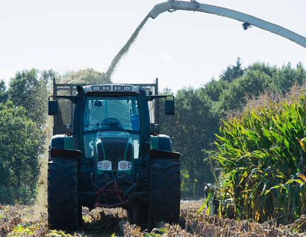 Maïsoogst, maïsfoerageermachine in actie, oogstwagen met trekker — Stockfoto