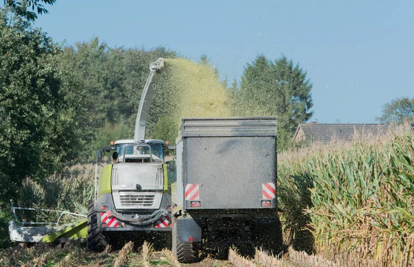 Colheita de milho, colheitadeira de milho em ação, caminhão de colheita com trator — Fotografia de Stock