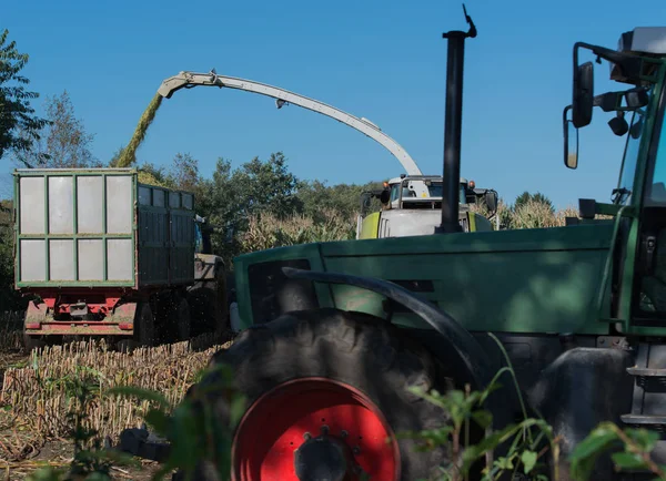 Maïsoogst, maïsfoerageermachine in actie, oogstwagen met trekker — Stockfoto