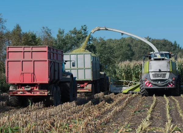 Kukorica betakarítás, kukoricaszedő akcióban, traktoros betakarító teherautó — Stock Fotó