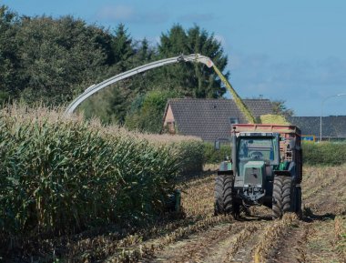 Mısır hasadı, mısır tarlası hasat aracı, traktörlü hasat kamyonu.