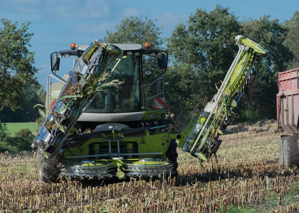 Maisernte, Mähdrescher im Einsatz, Erntewagen mit Traktor — Stockfoto