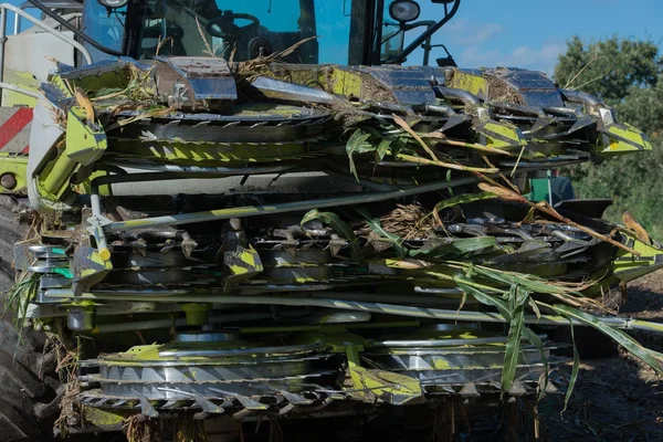 Jagung panen, jagung forage pemanen dalam tindakan, panen truk dengan traktor — Stok Foto