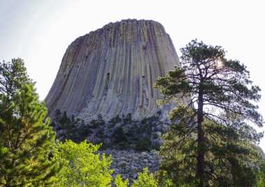 Devils Tower Ulusal Anıt Wyoming 